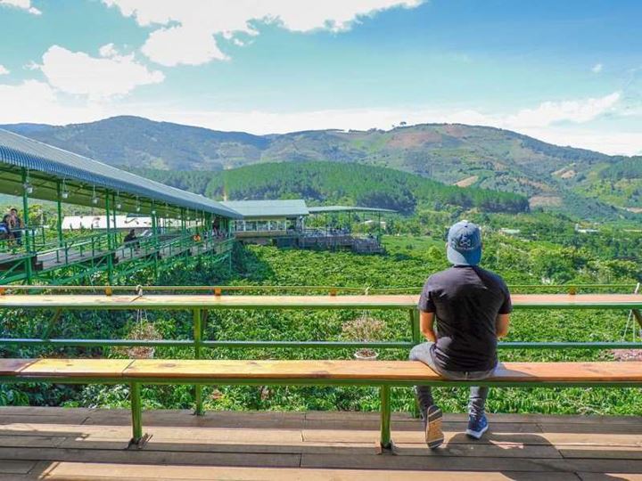 Tham quan đồn điền café Mê Linh Ở Thành Phố Đà Lạt